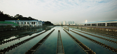 兩會聲音：城市“新洼地”之痛 如何補齊城市地下管網短板？