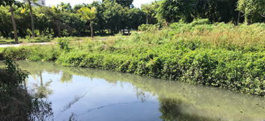 沿用城市思維？農(nóng)村黑臭水體治理“行不通”！